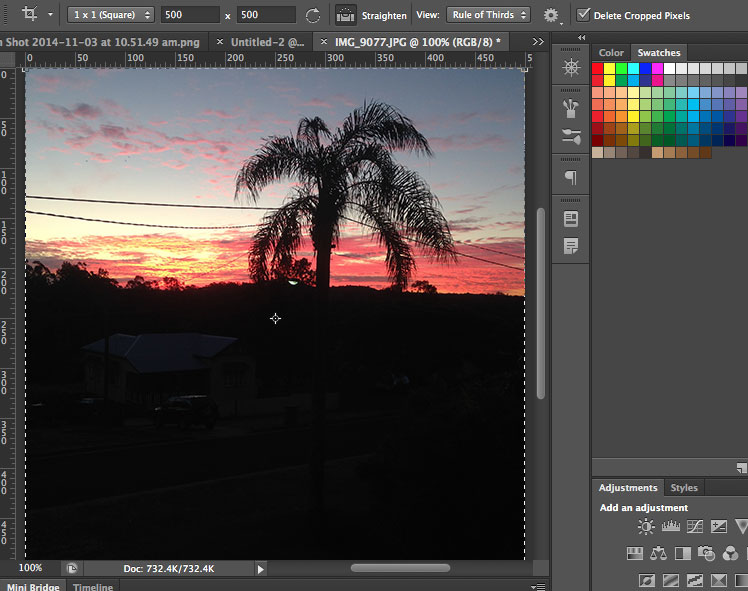 adobe photoshop sunset palm